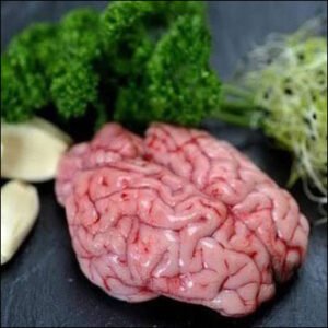 Brain (Pack of 2)